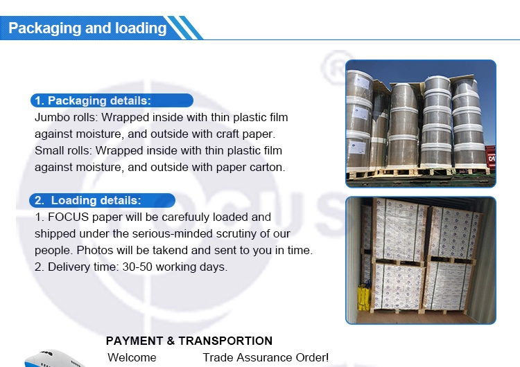 48GSM / 55GSM ورق حراري جامبو رول جيد نعومة السطح 3