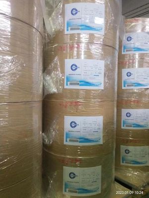 FSC الخشب العذراء الخضروات المغطاة فوقية لفة الورق الحراري Jumbo لـ POS ROLL / الطباعة / العلامة