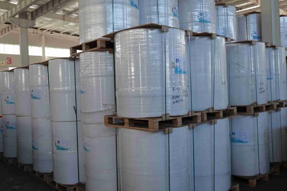 100٪ اللحم الخشب العذراء المستوردة BPA الحرة الورق الحراري عالية الرقة قوة التوتر حياة تصوير طويلة